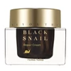 Holika Holika Prime Youth Black Snail arckrém