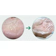 Holika Aloe 99% Cleansing Foam